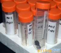 儀器探究新發現 周代化妝品含植物精油 儀器探究新發現 周代化妝品含植物精油