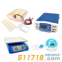 北京六一 泳強快速蛋白電泳檢測系統