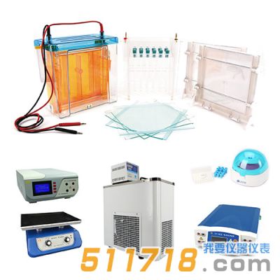 北京六一 雙向電泳系統(tǒng) 北京六一 雙向電泳系統(tǒng)