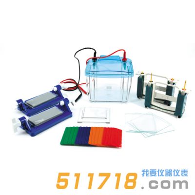 北京六一 DYCZ-25E型P4垂直電泳儀 北京六一 DYCZ-25E型P4垂直電泳儀