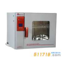 BPX-52程控電熱恒溫培養箱