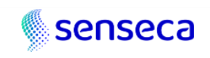 意大利SENSECA儀器儀表
