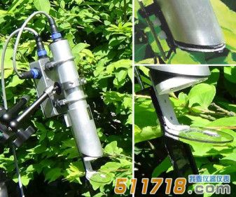 美國OPTI-sciences PSP32在線葉綠素熒光觀測系統 美國OPTI-sciences PSP32在線葉綠素熒光觀測系統