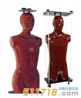 美國(guó)RSD Alderson 放射治療 (ART) 模體