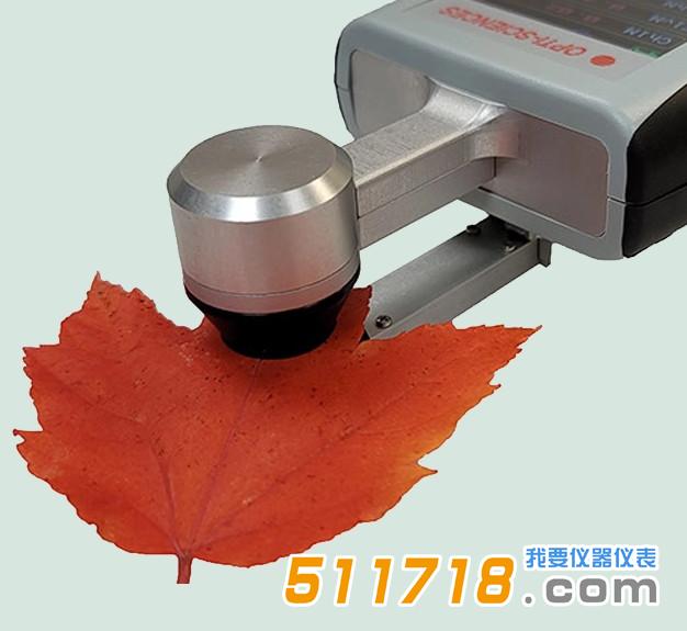 1749112362917558.jpg 2.jpg